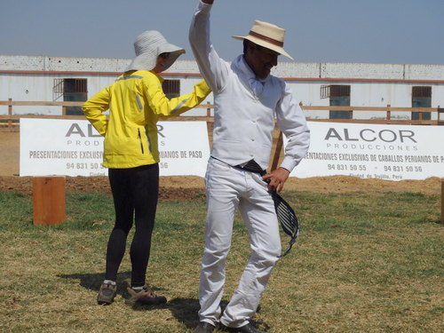 Peruvian Step Horse Show.